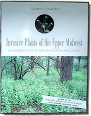 Invasive Plants of the Upper Midwest book cover by Elizabeth J. Czarapata